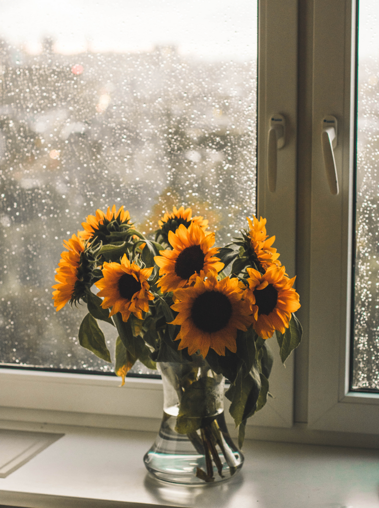 Sunflowers in the Rain: A Little Sunshine from April Flora
