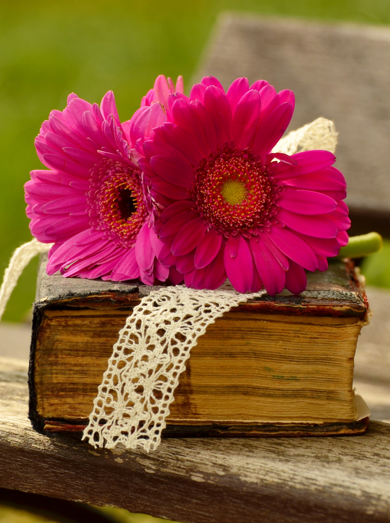 Flowers and Books: A Gentle Love Story in Two Forms