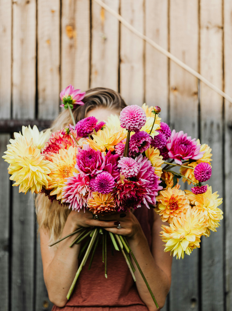 Best Flowers to Brighten Up the Cool Season in Thailand
