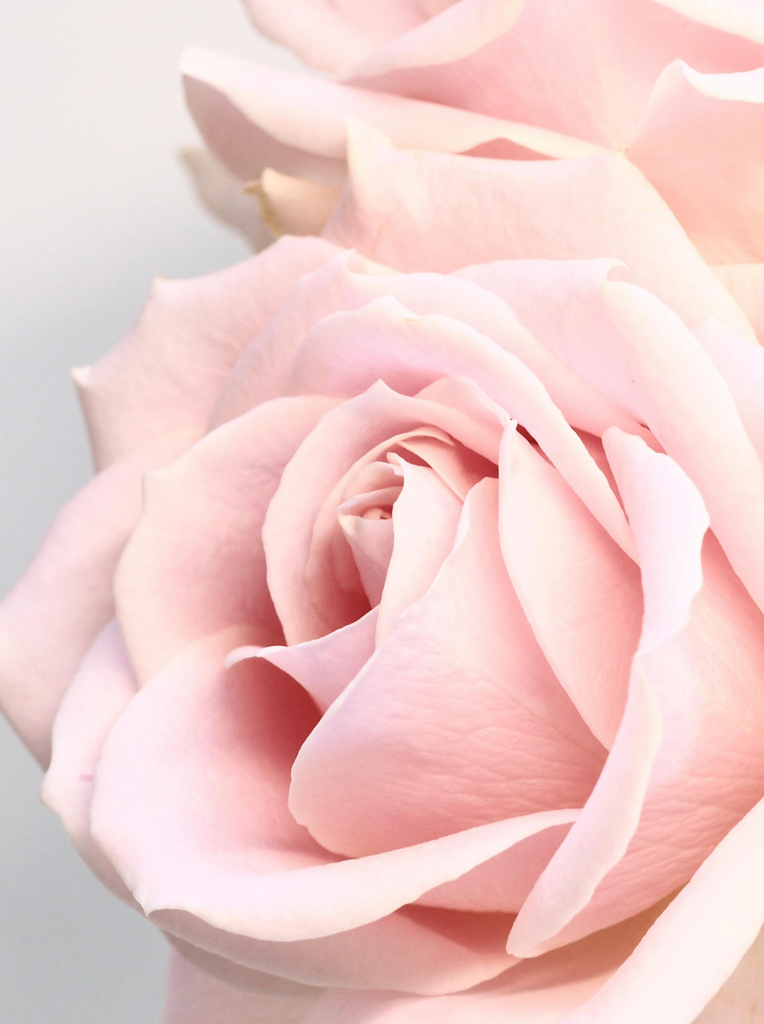 Romantic Flower Bouquets to Celebrate Your Love This November