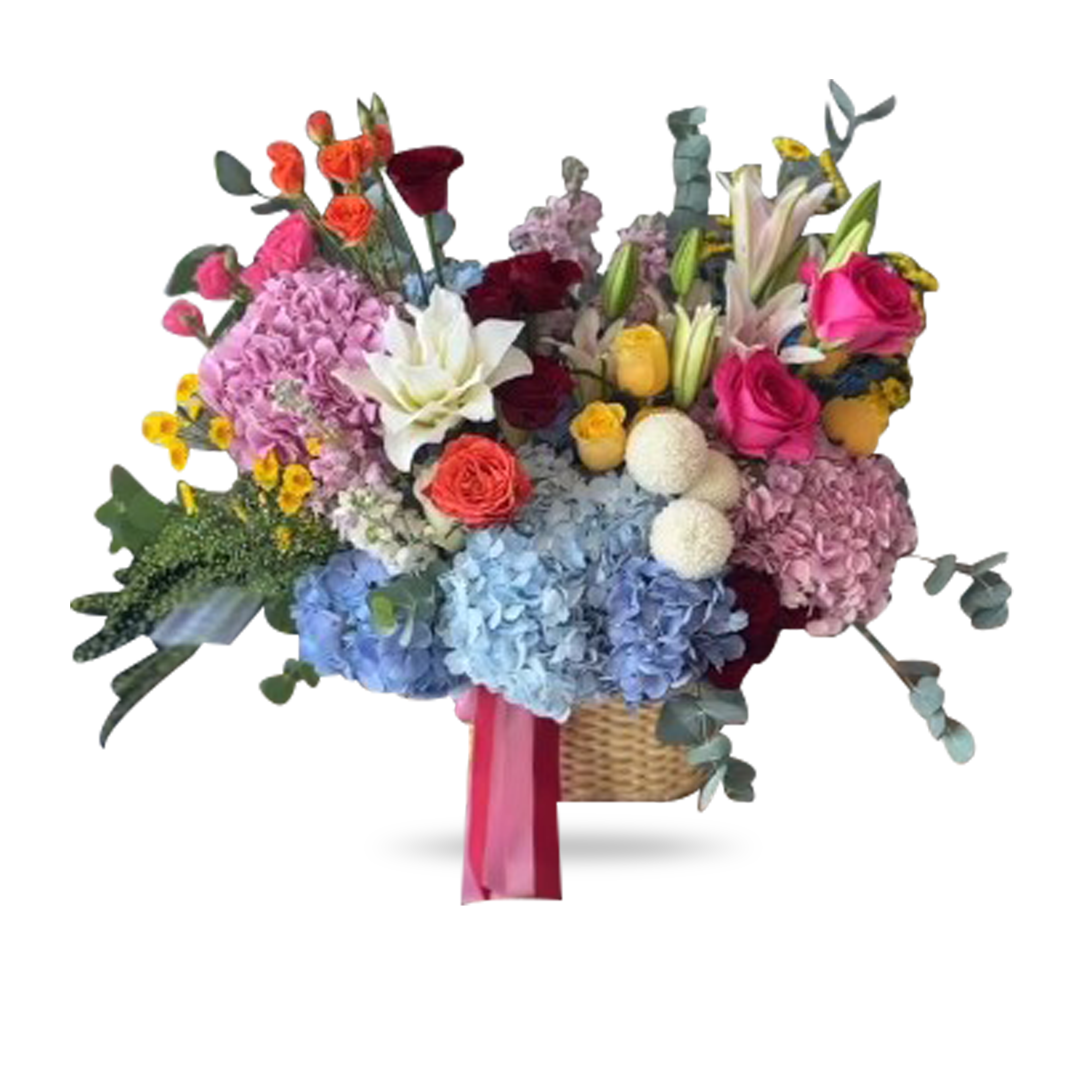 Mother's Day Collection